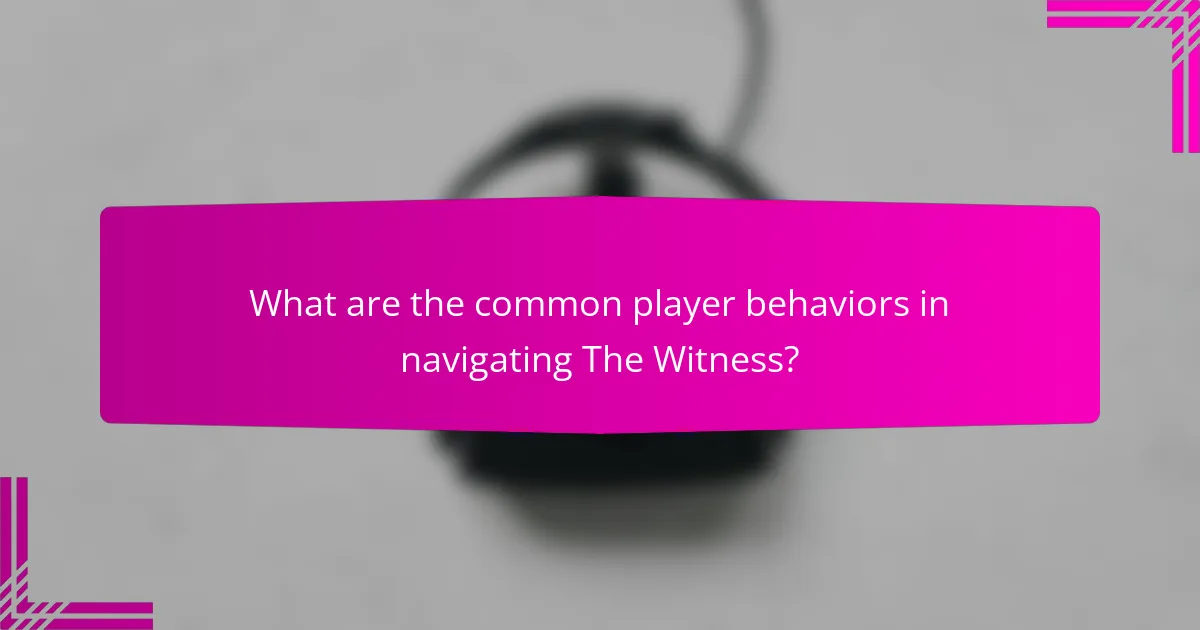 What are the common player behaviors in navigating The Witness?